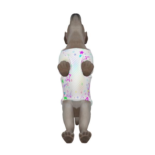 Hunde Hoodie, Pullover für Hunde, mit buntem Hundemotiv Motte2